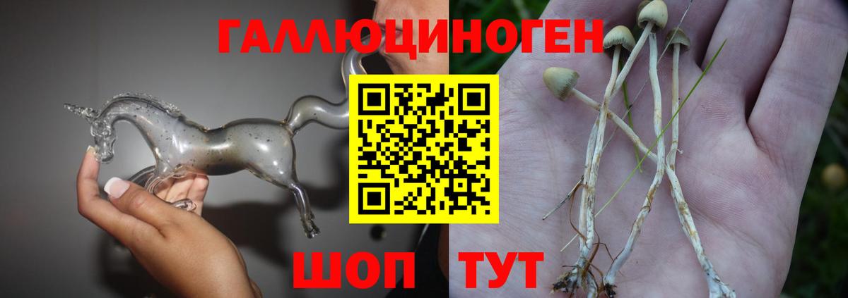 Галлюциногенные грибы Psilocybine cubensis  Вход с VPN  Псилоцибиновые грибы ЛСД  Малоярославец 